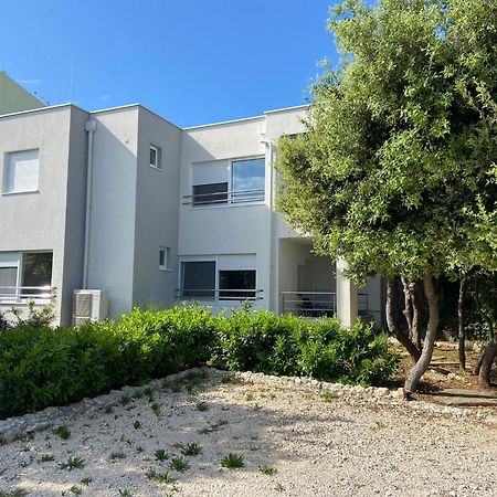 Apartments Jedro Petrčane Zewnętrze zdjęcie
