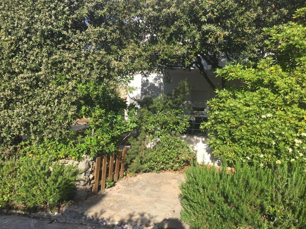Apartments Jedro Petrčane Zewnętrze zdjęcie